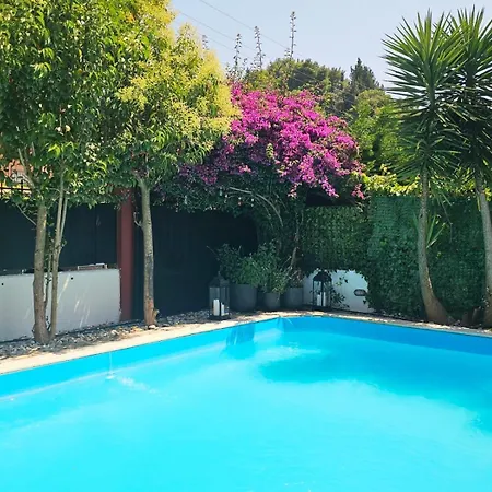 Corfu Holidays Tatil Evi