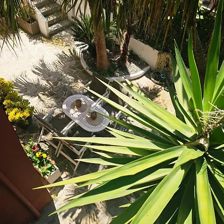 Tatil Evi Corfu Holidays